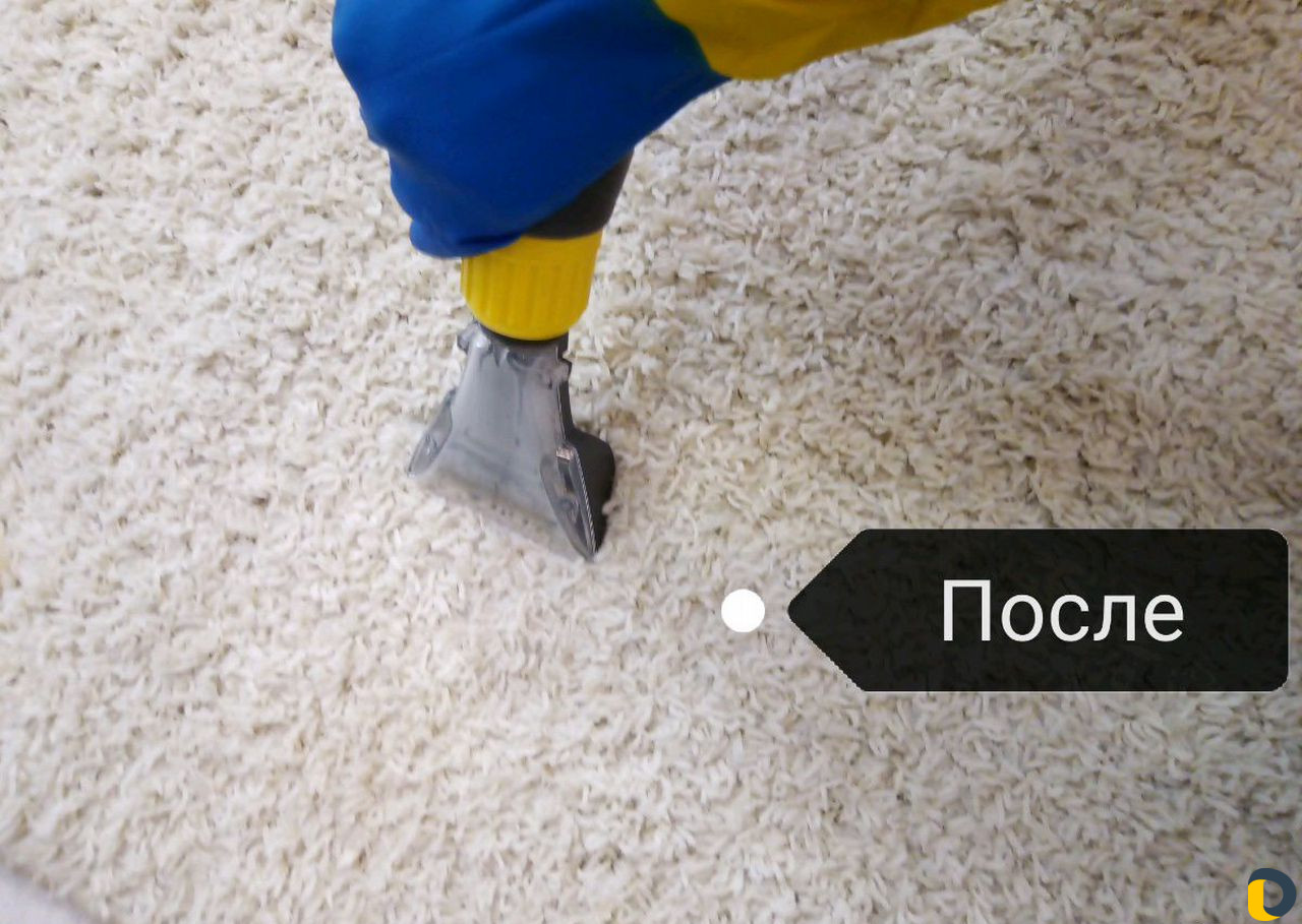 Химчистка мебели и ковров