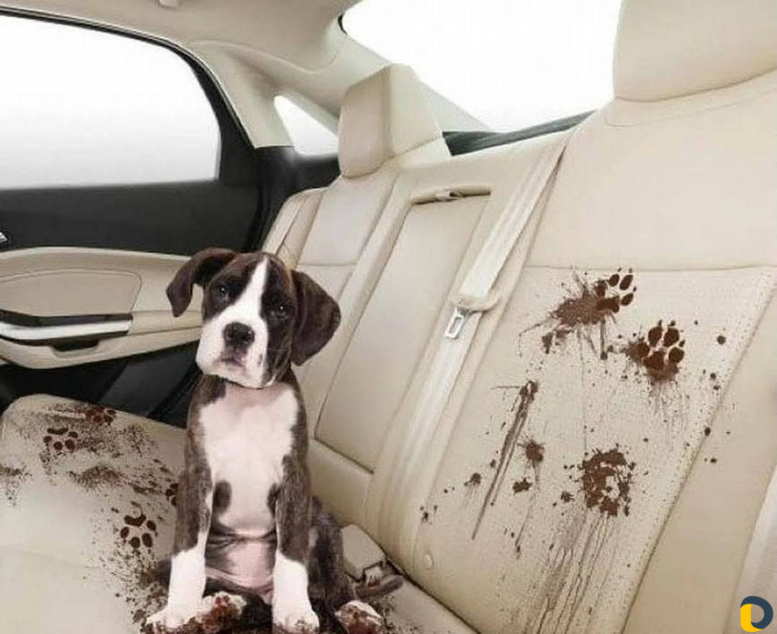 Химчистка салона автомобиля