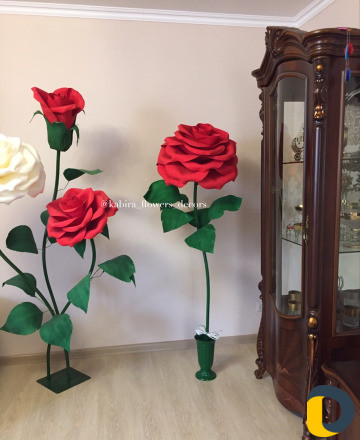 Интерьерные цветы и светильники