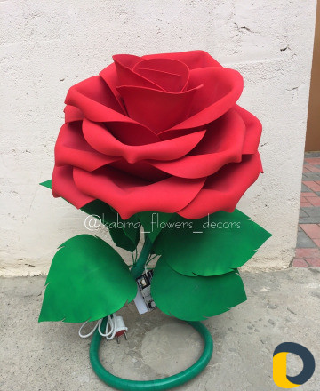 Интерьерные цветы и светильники