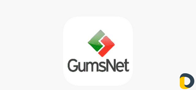 Интернет Чеченская Республика GumsNet