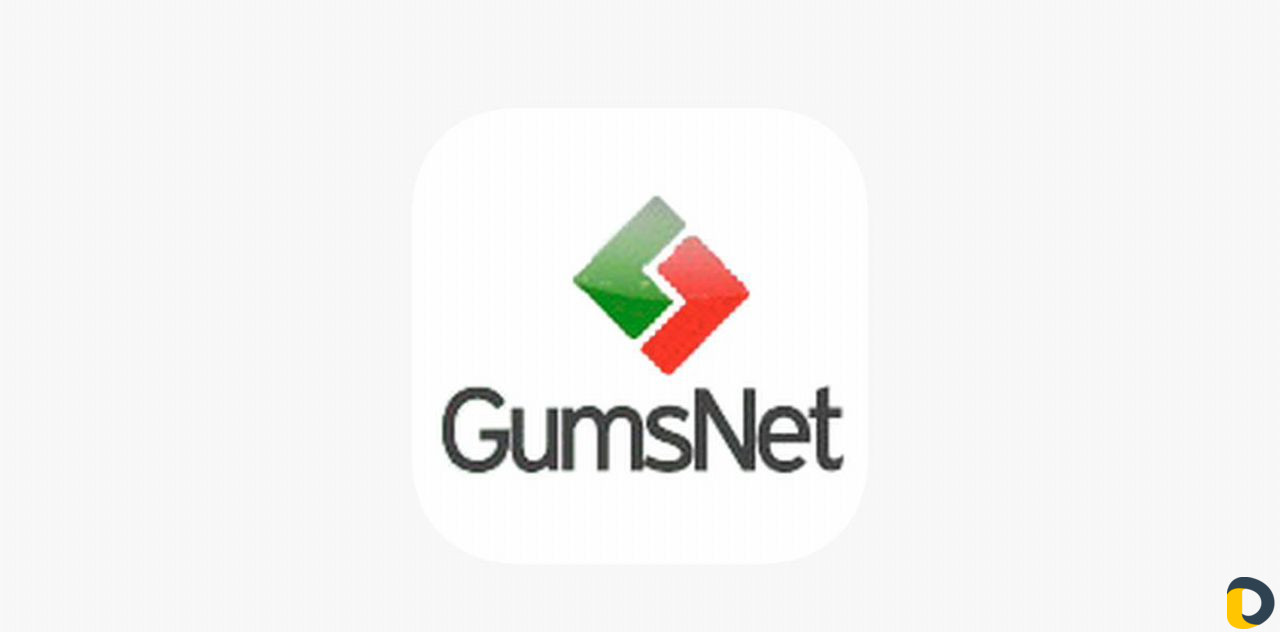 Интернет Чеченская Республика GumsNet