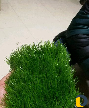 Искусственный газон