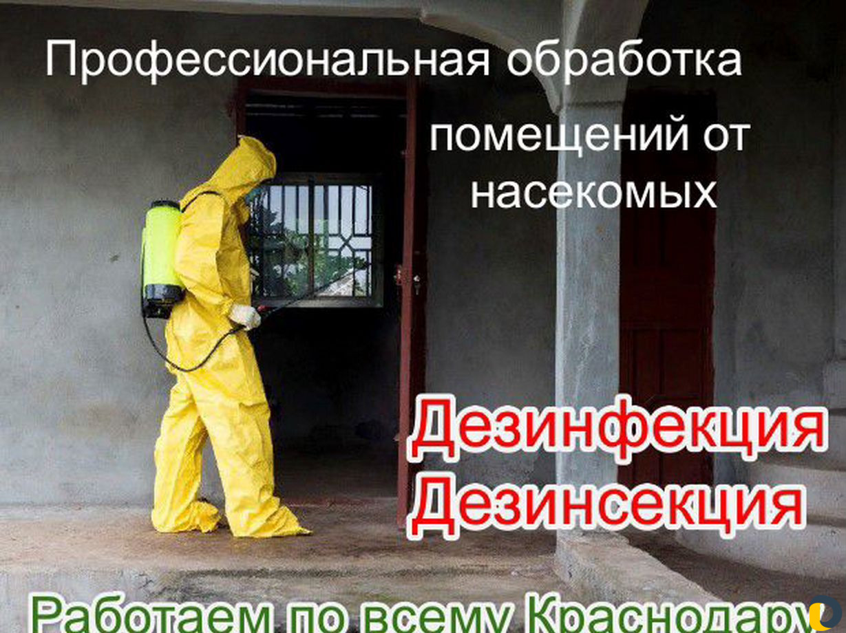 Избавлю от тараканов, мышей, крыс. Дезинфекция