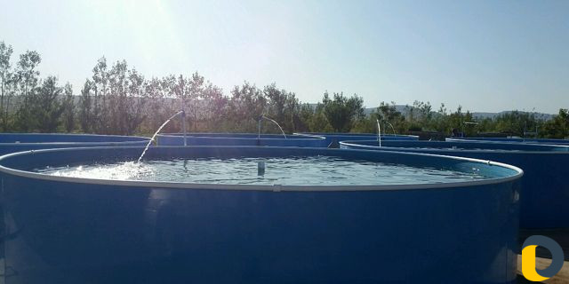 Изготовим под ключ узв для африканского сома