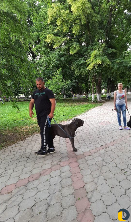 Кинолог Зоопсихолог