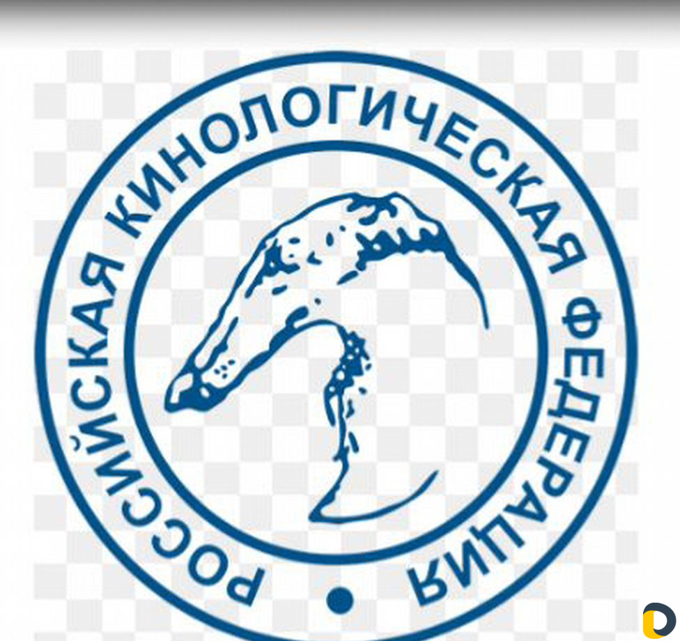 Клуб собаководства.Обмен документов