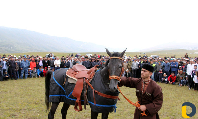 Коммерческие перевозки