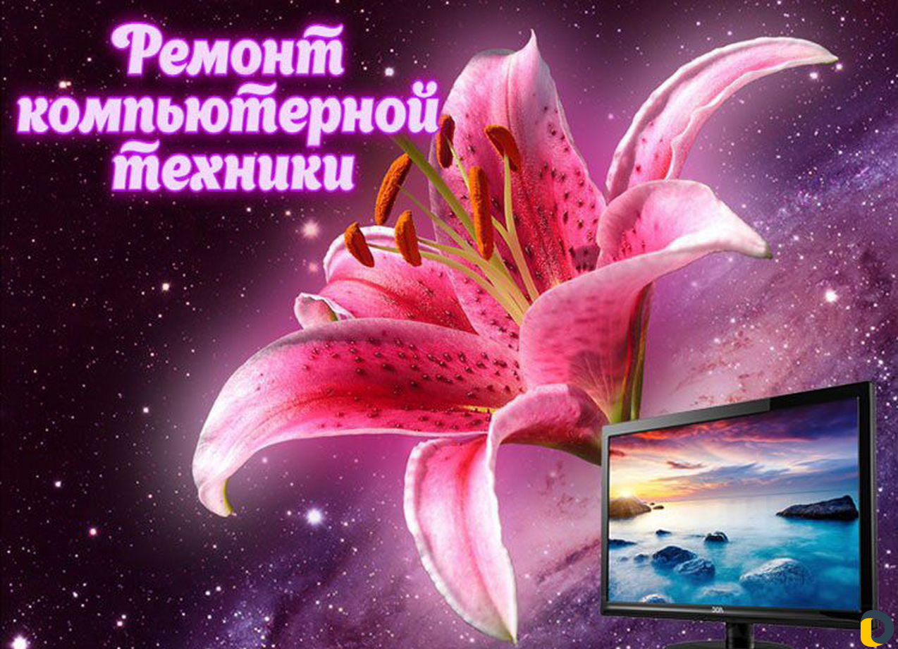 Компьютерная помощь, установка Windows