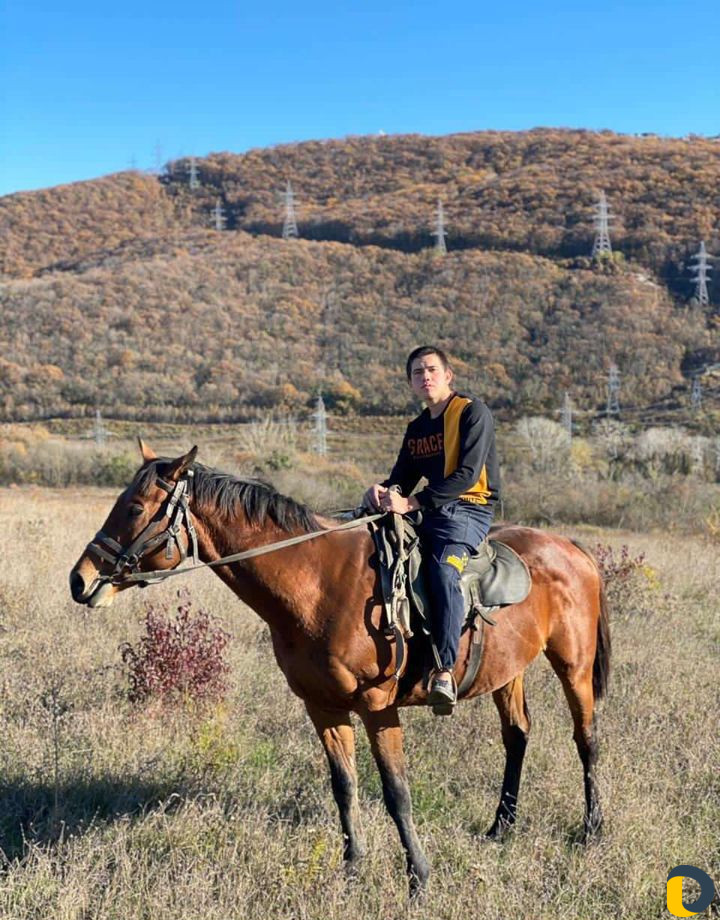 Конные прогулки