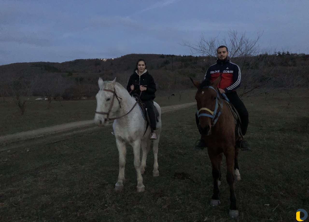 Конные прогулки