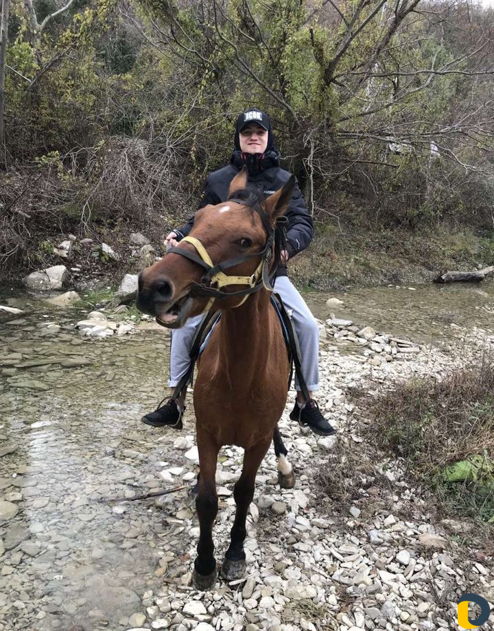 Конные прогулки