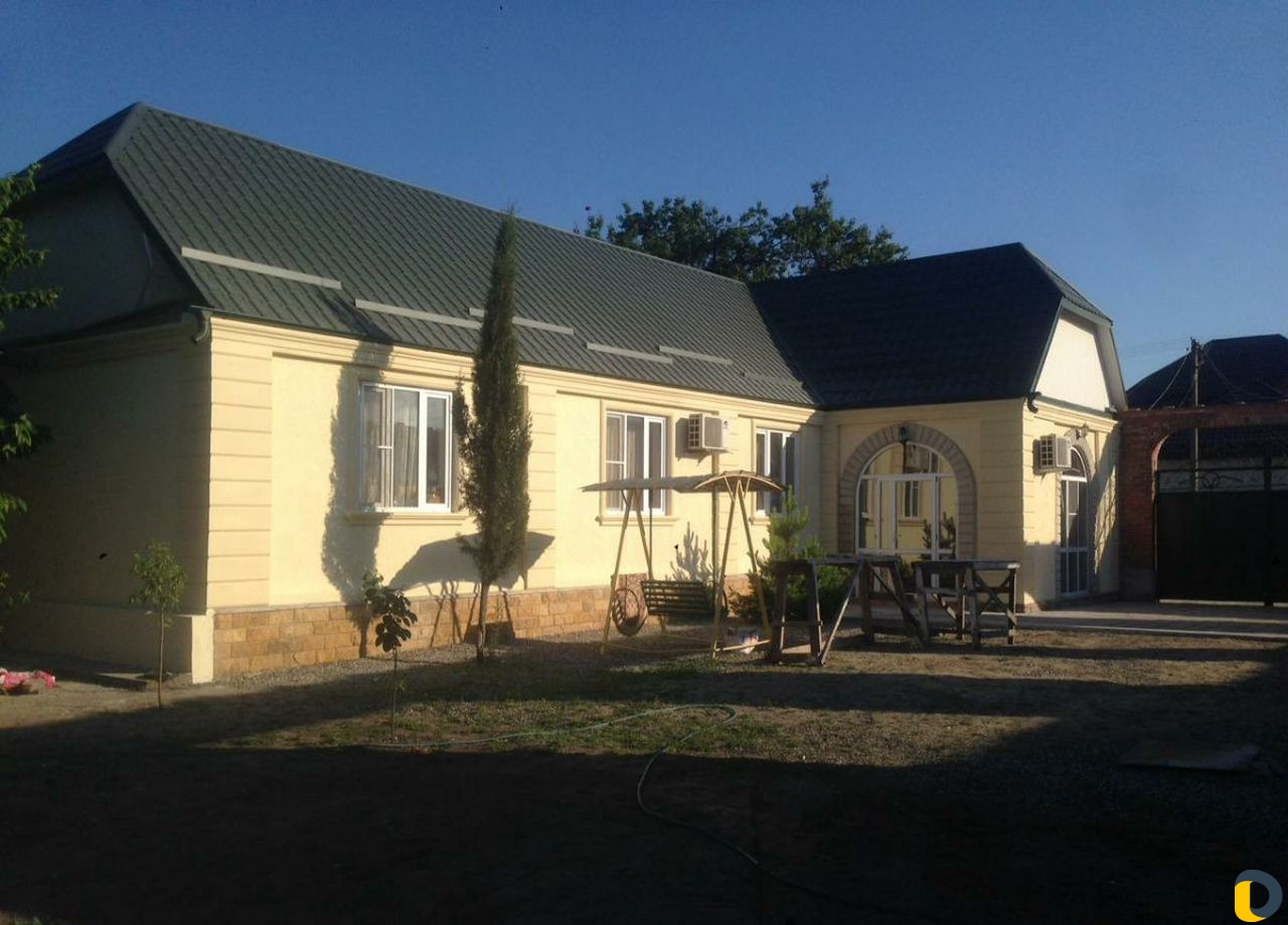 Короед Амк