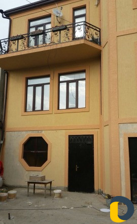 Короед (быстро и качественно)