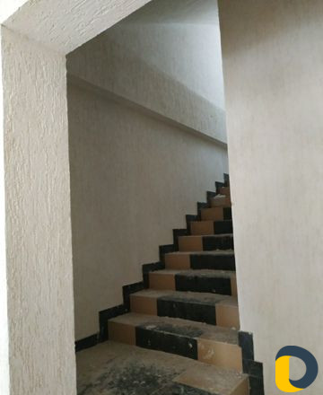 Короед (быстро и качественно)