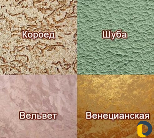Короед и венцеанка