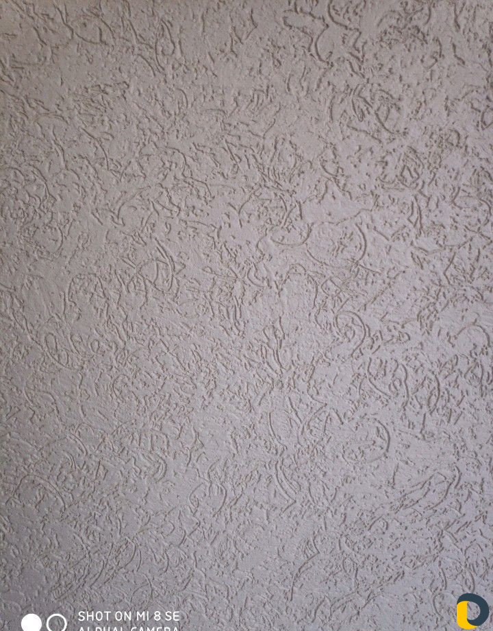 Короед
