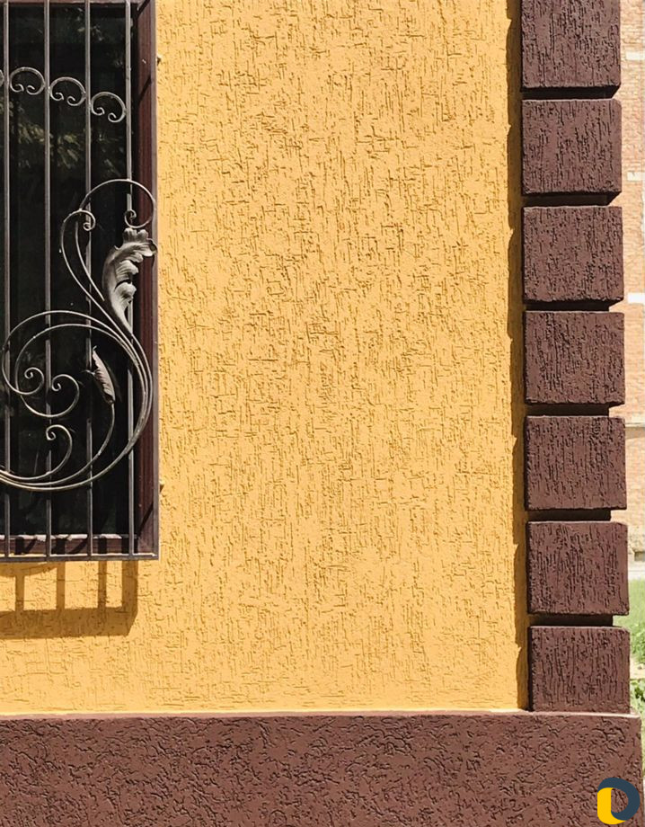 Короед