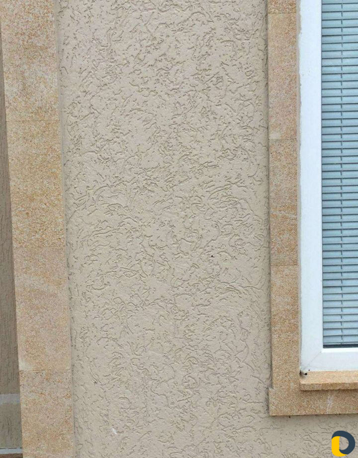 Короед