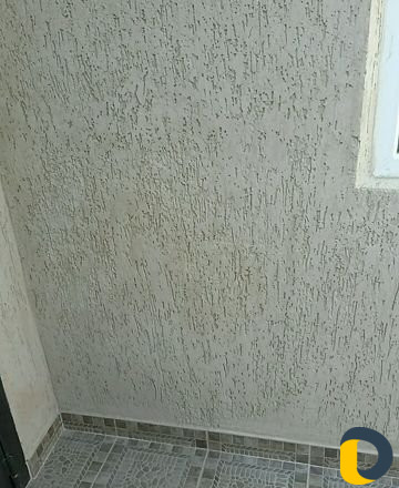 Короед
