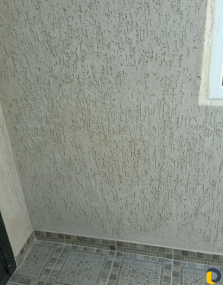 Короед