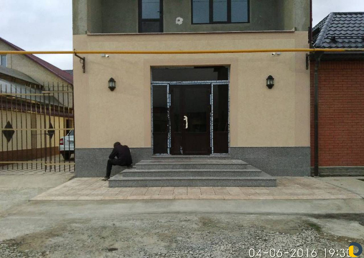 Короед