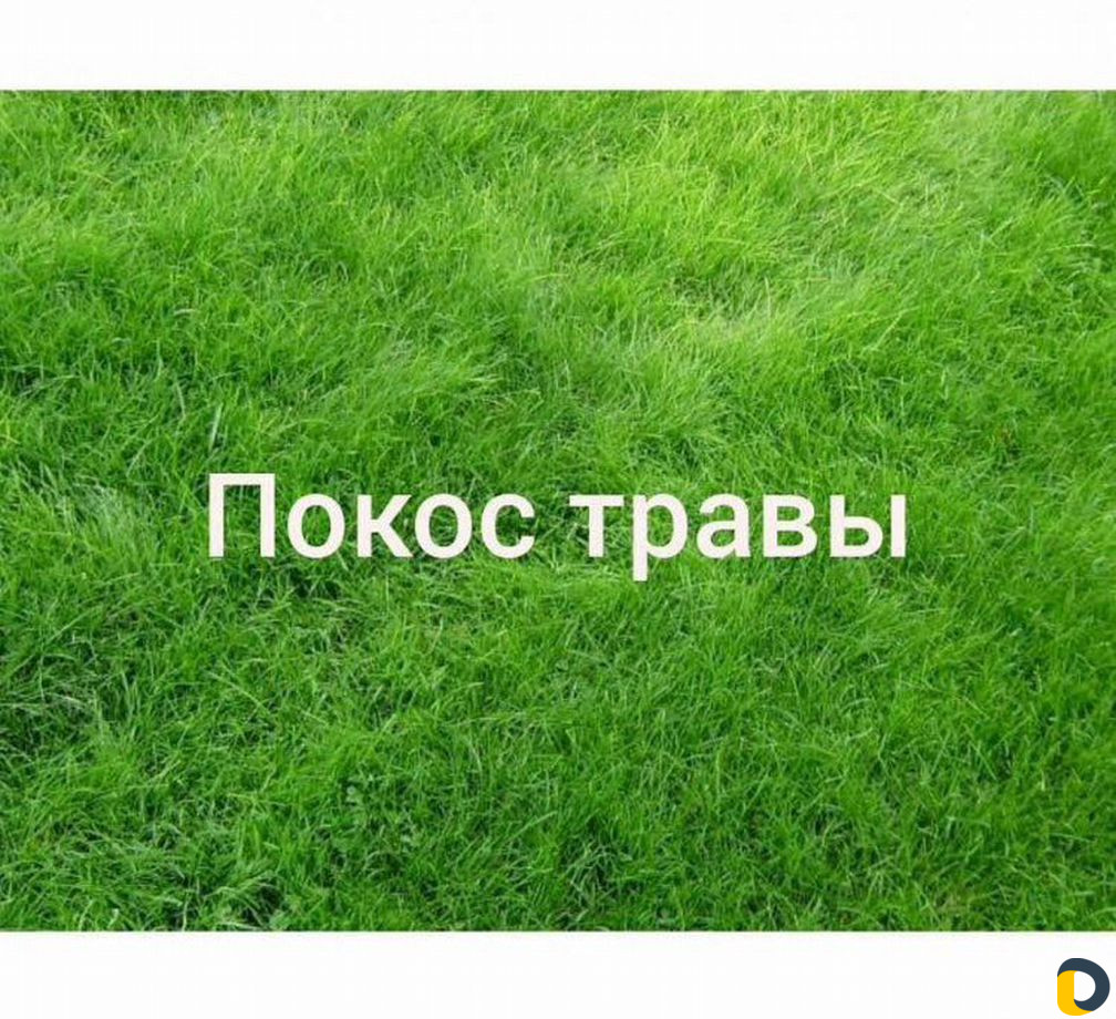 Косим траву