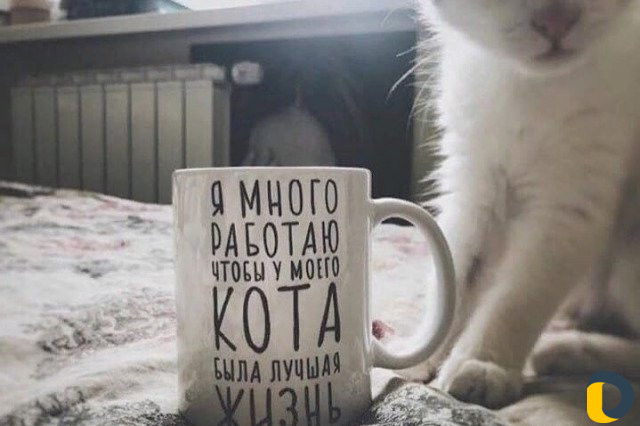 Кружки с фото