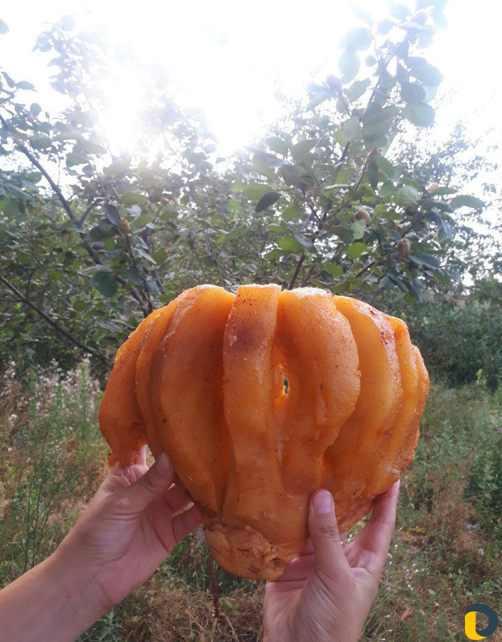 Курдюк копченый сушеный