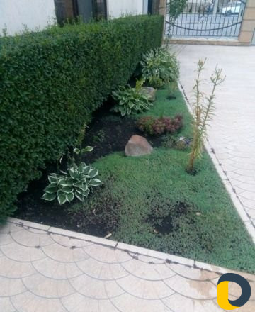Ландшафт дизайн, озеленение, садовник, рулон.газон