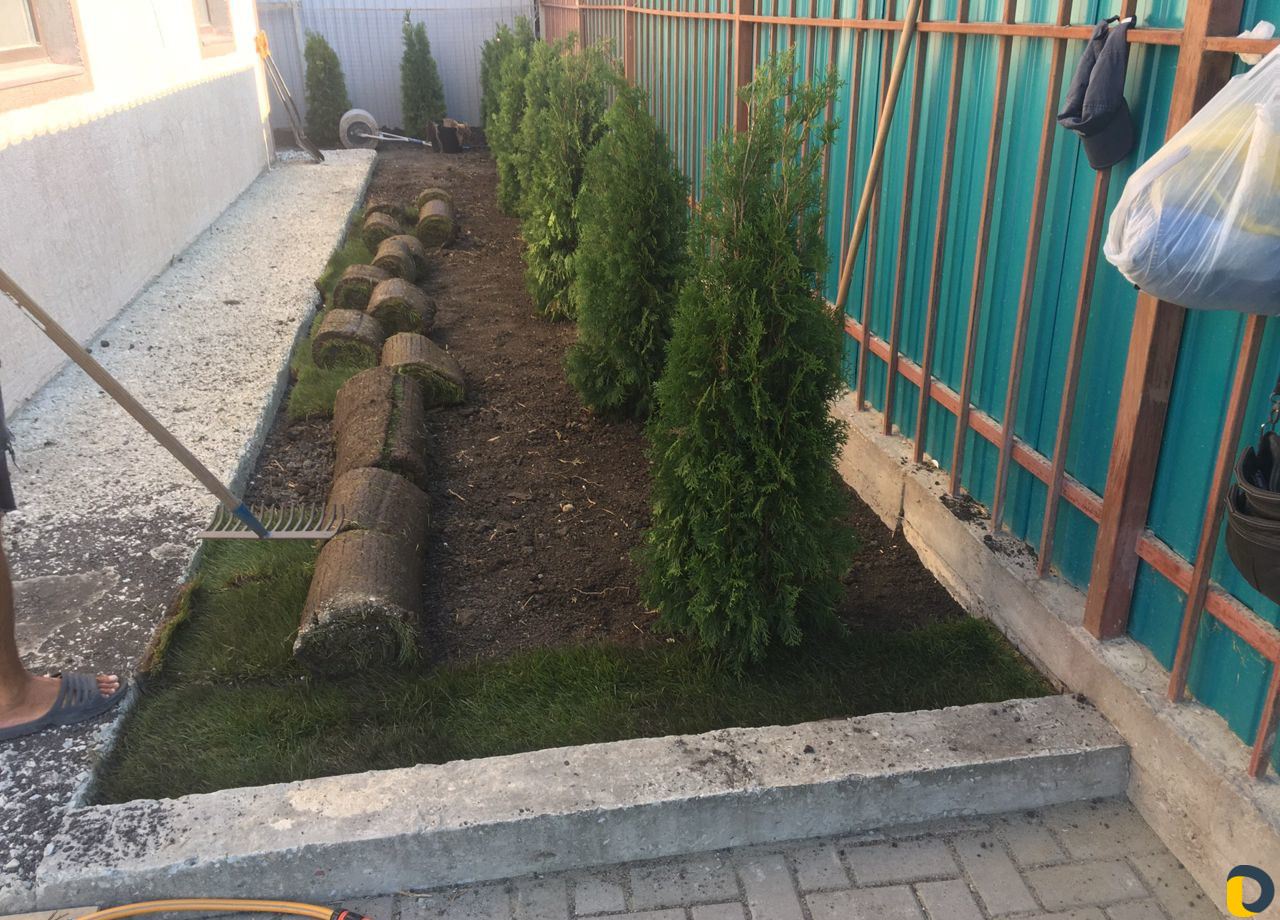 Ландшафтный дизайн. Озеленение