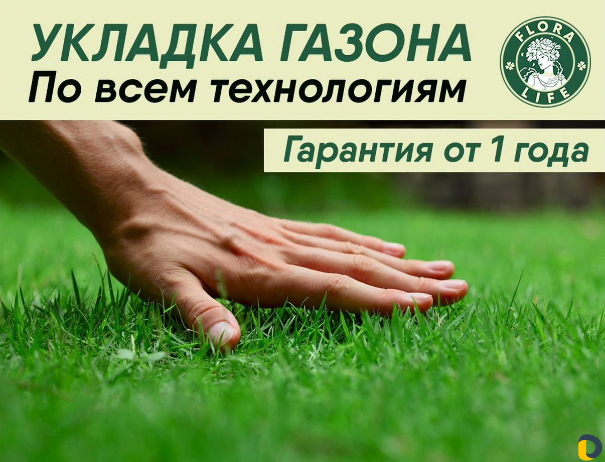 Ландшафтный дизайн, озеленение