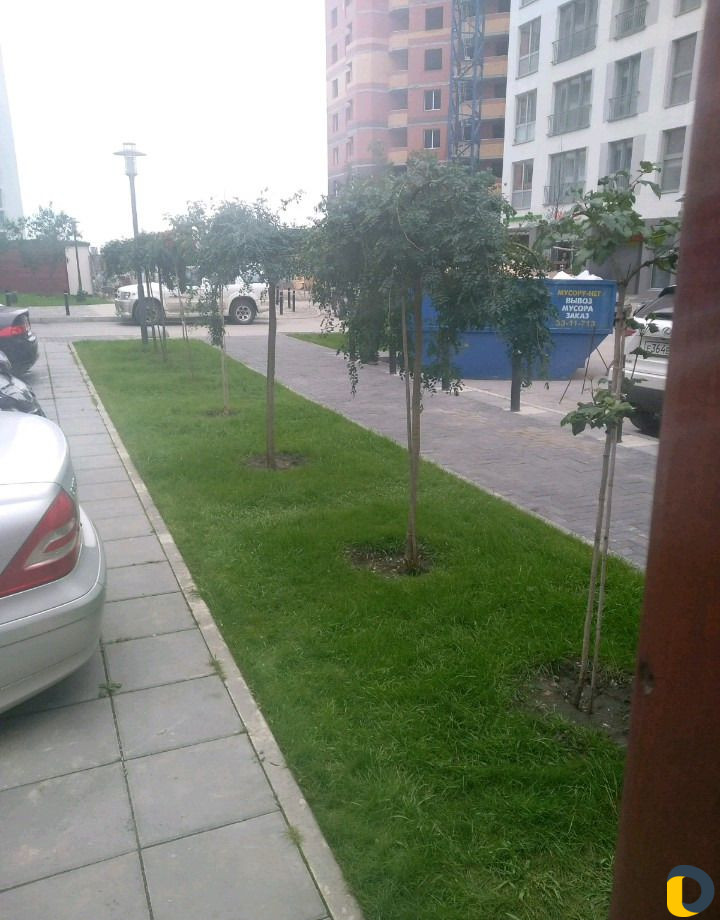 Ландшафтный дизайн