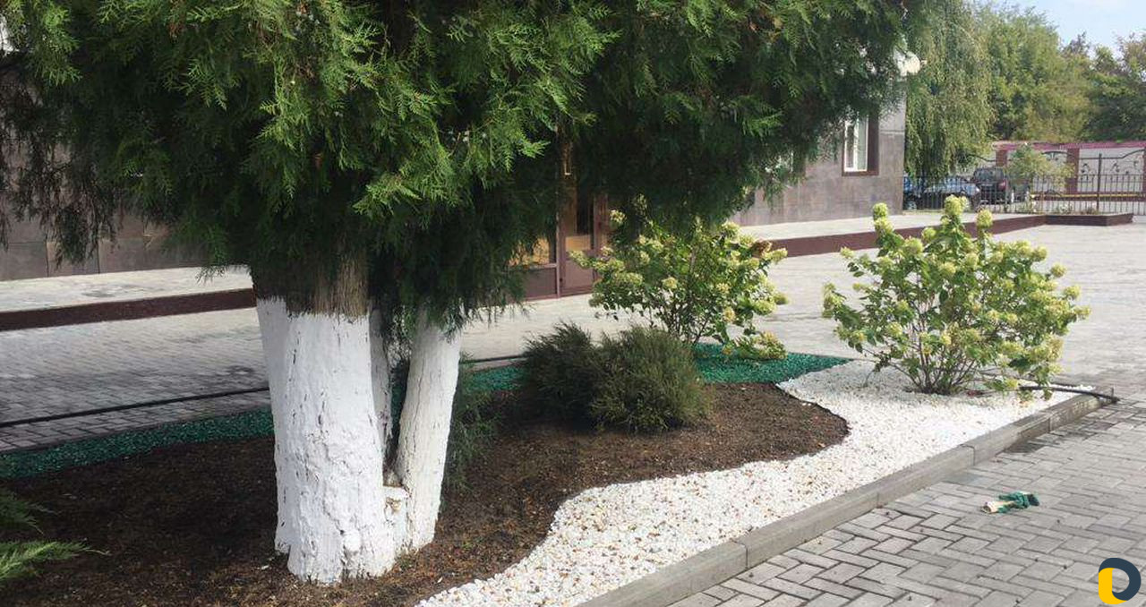 Ландшафтный дизайн
