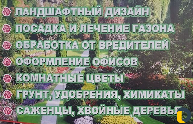 Ландшафтный дизайн
