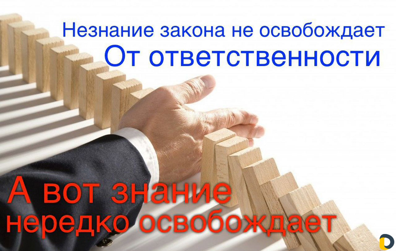 Ликвидация ооо с долгами без проверок