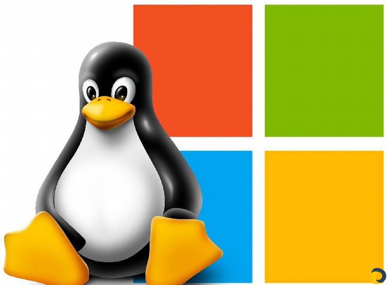 Linux/VmWare/Windows администратор