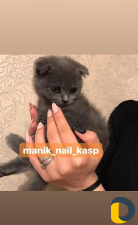 Маникюр, мехенди