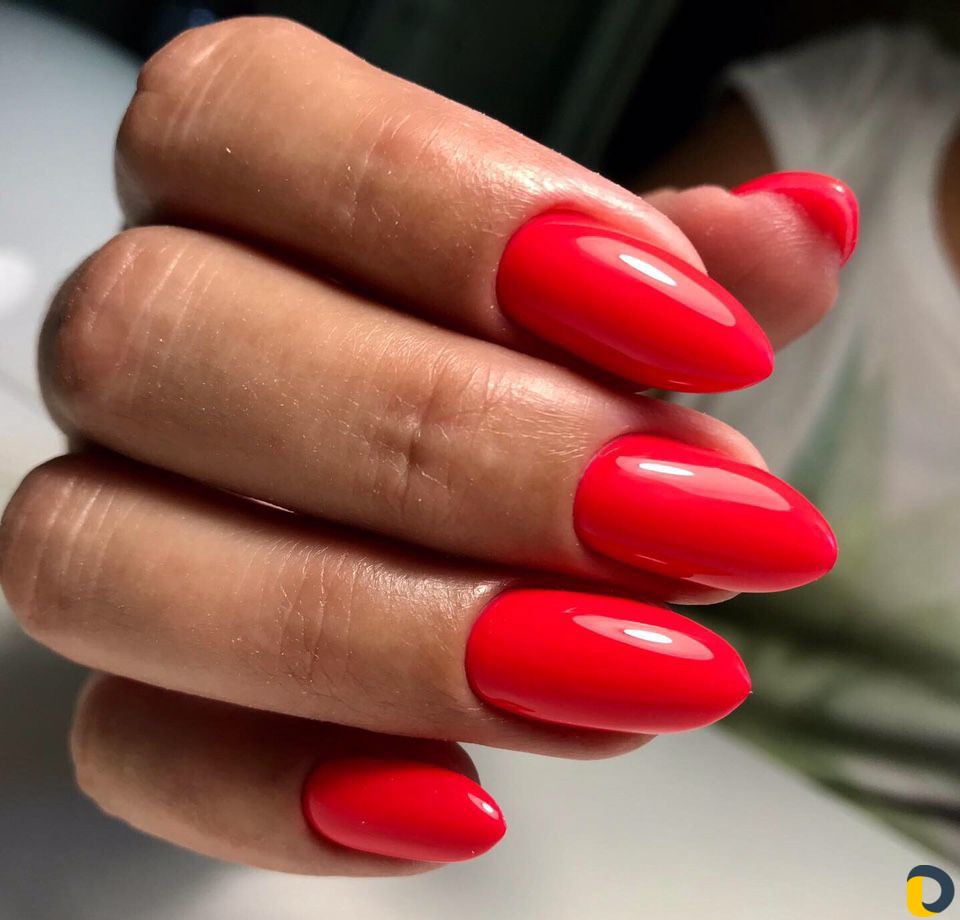 Маникюр Педикюр