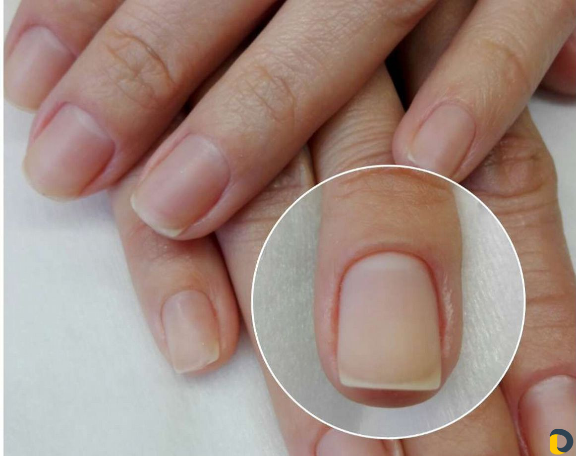Маникюр педикюр