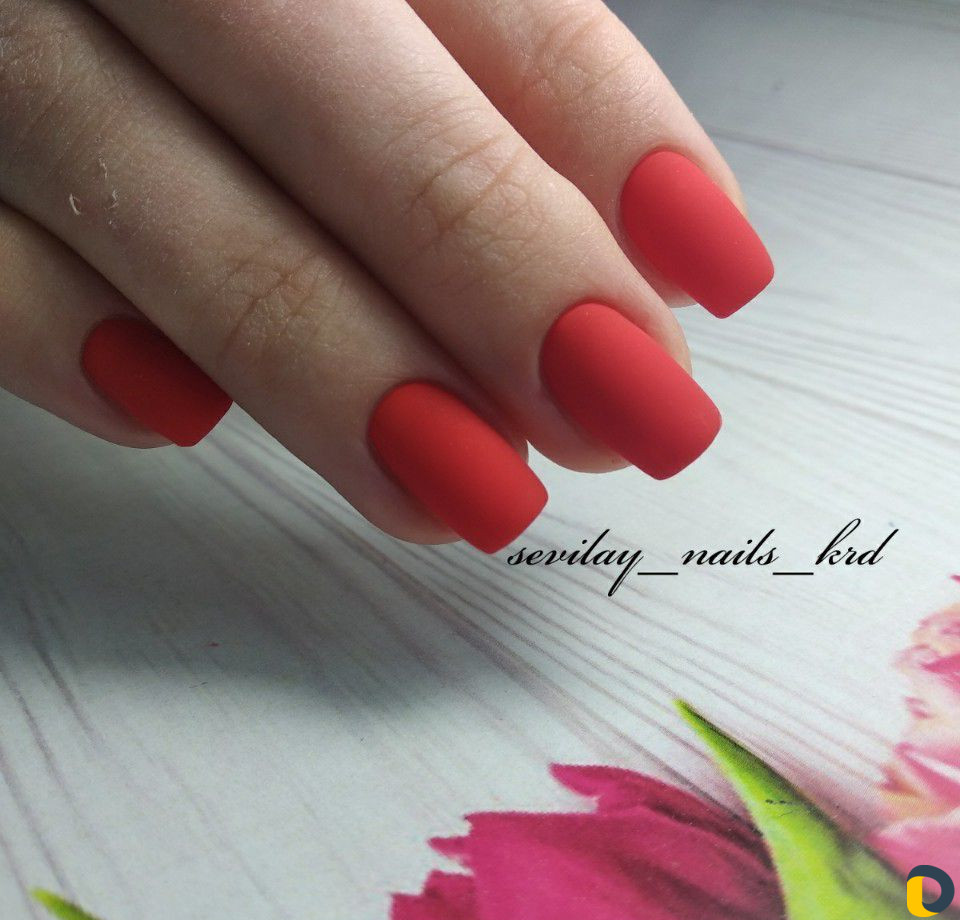 Маникюр педикюр