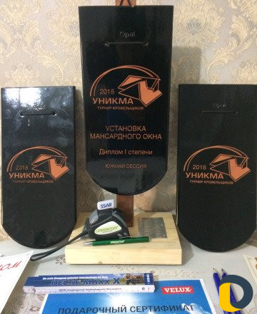 Мансардные окна, чердачные лестницы снегодержатели