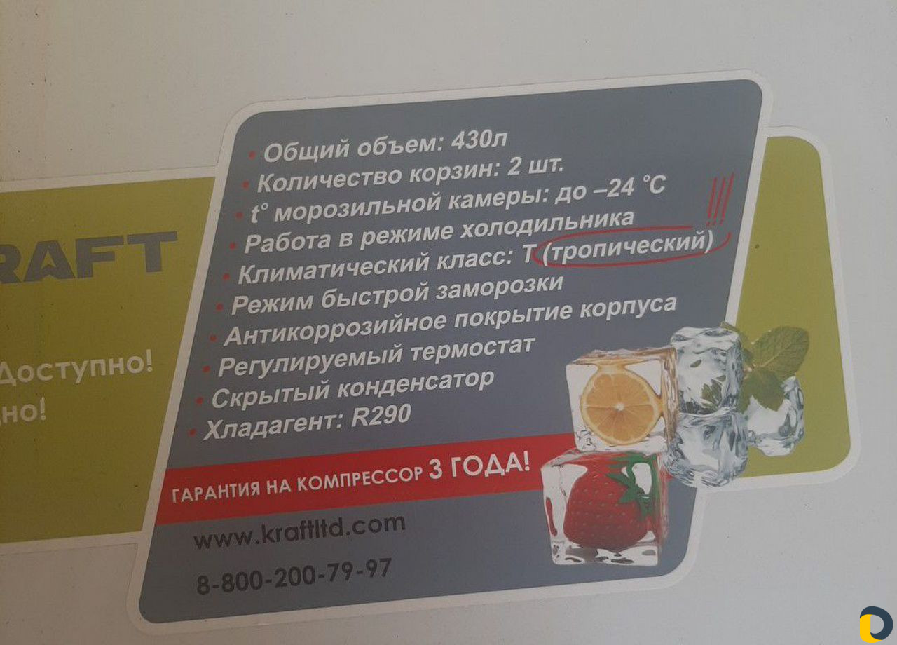Маризильник на прокат