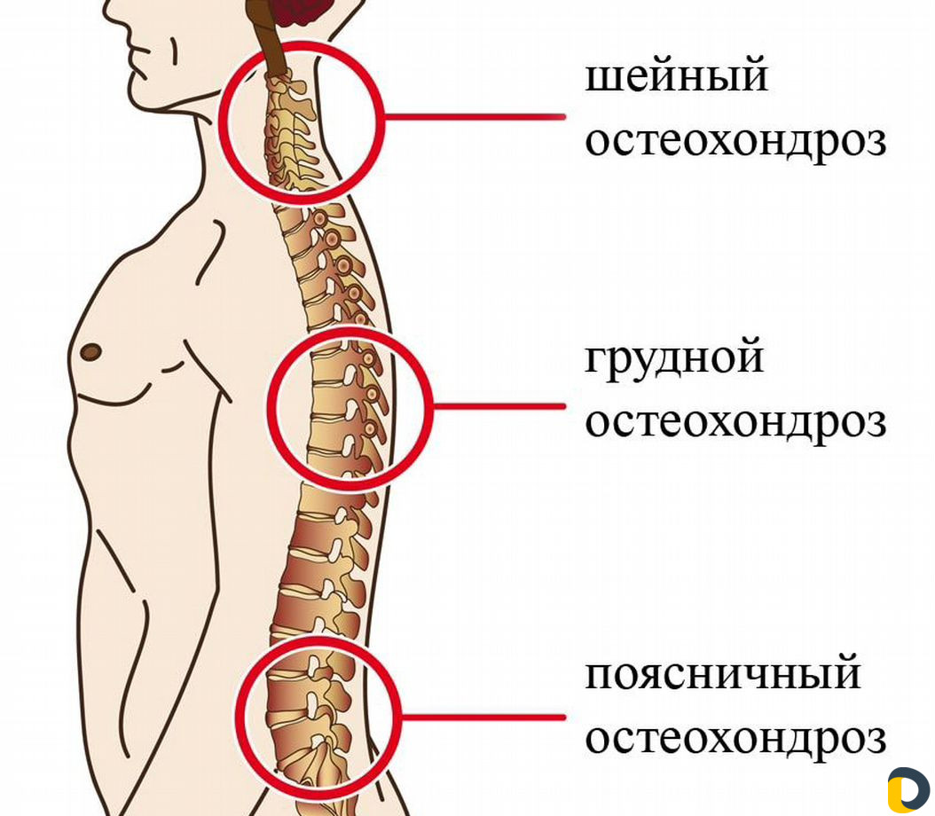 Массажист