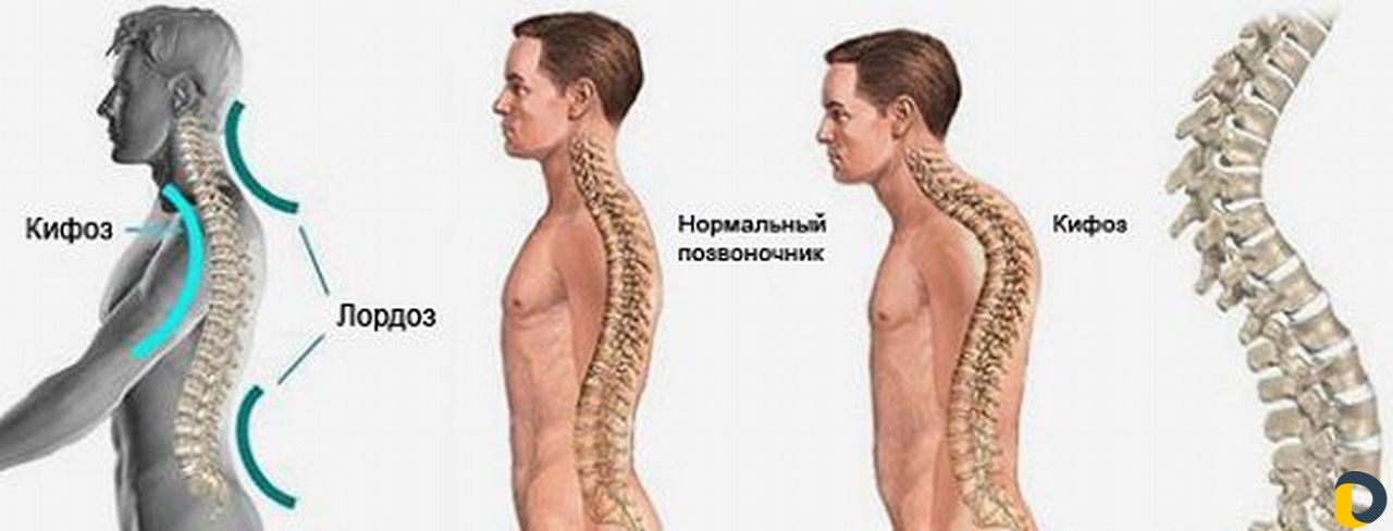 Массажист