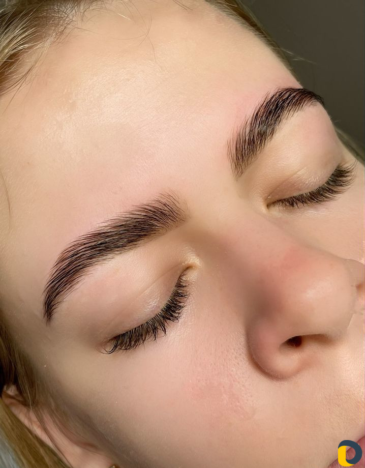 Мастер бровист