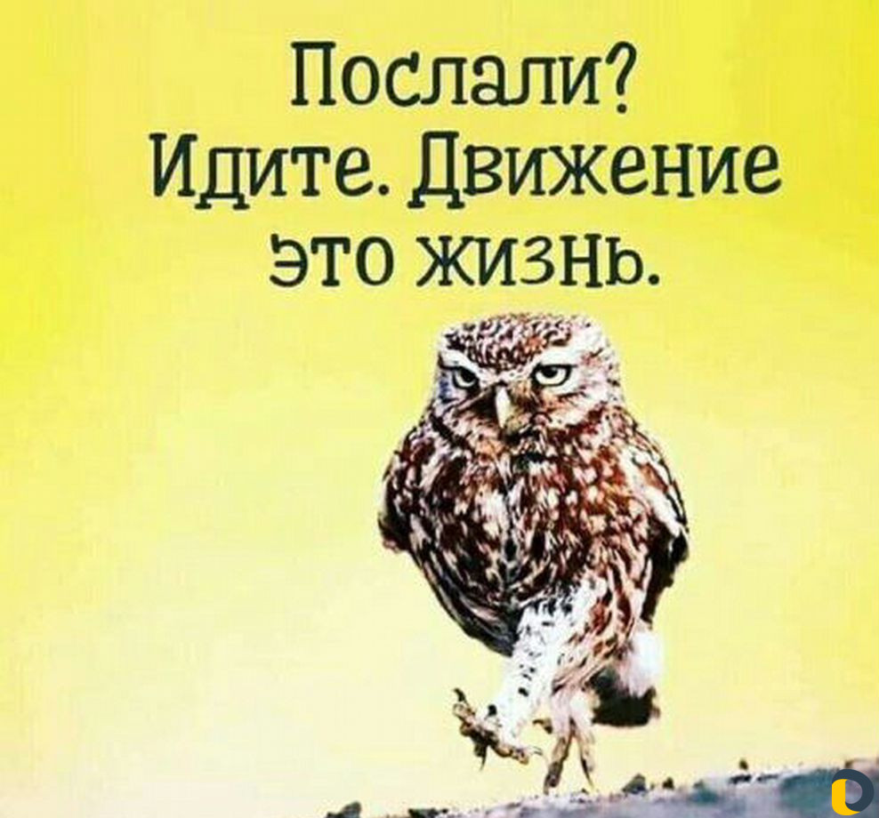 Мастер