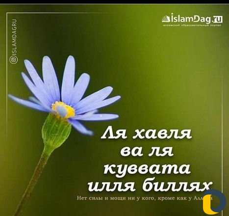 Материнский капитал