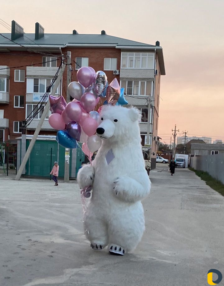 Медведь на праздник