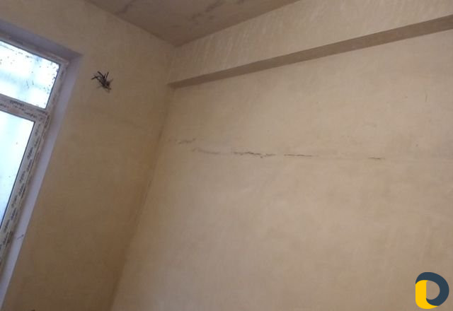 Механизированная штукатурка стен и потолков